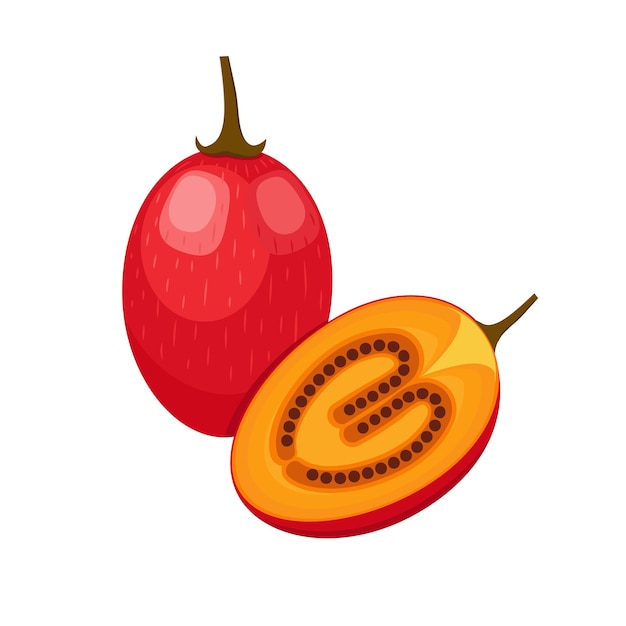 Vector tamarillo set design with isolated whole cut tropical fruit exotic vegan food flat detailed vector