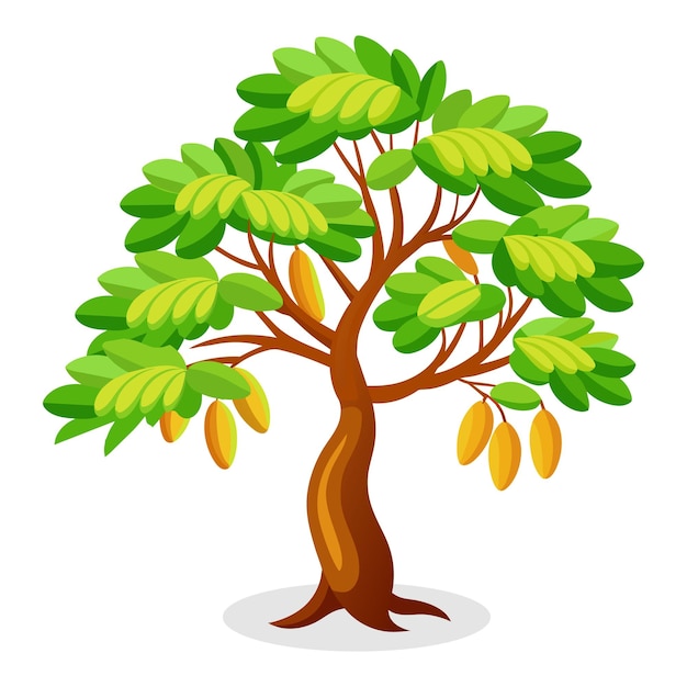 Tamarind tree Isolated flat vector illustration