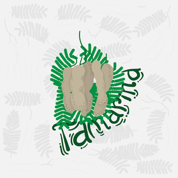 Tamarind with tamarind leaves and hand drawn of tamarind design for vegan template design