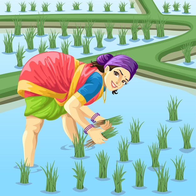 Tamil Woman farmer working in Paddy Field