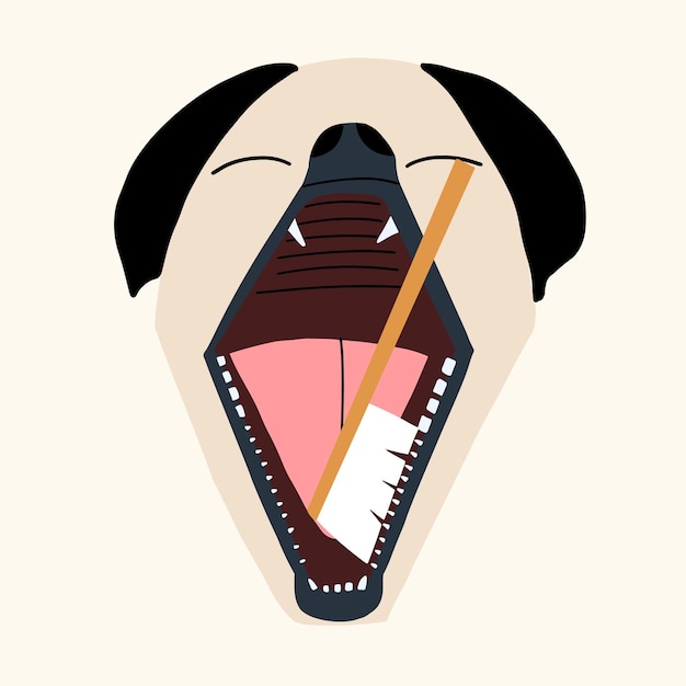 Tandheelkundige zorg en hygiëne bij honden Hond die zijn tanden laat reinigen met een tandenborstel