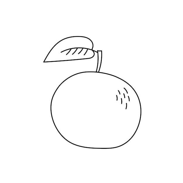 Tangerine fruit with leaf doodle