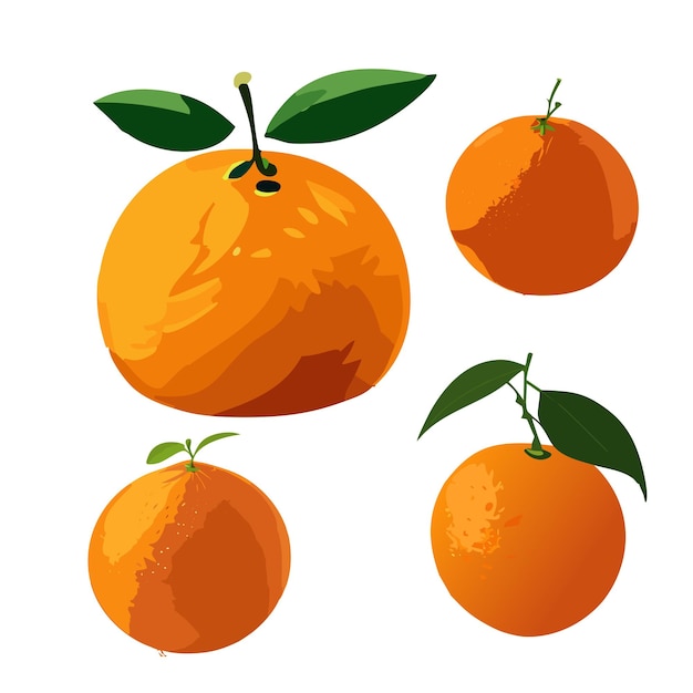 tangerines vector illustration