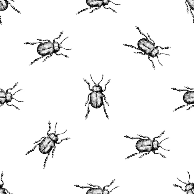 Tansy beetle. Seamless pattern illustration.