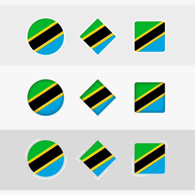 벡터 탄자니아 국기 아이콘 설정 탄자니아의 벡터 국기