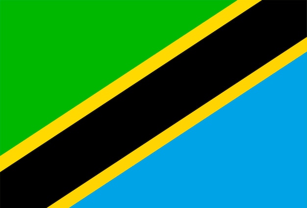 Vettore bandiera della tanzania