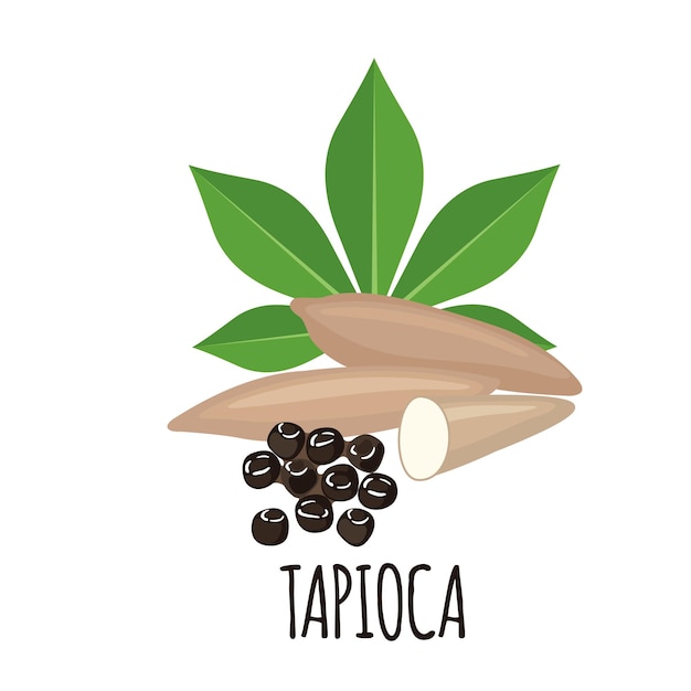 Icona della pianta di tapioca con foglia e radici in stile piano isolato su priorità bassa bianca