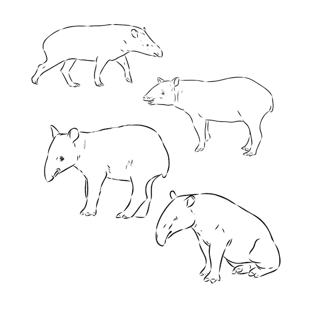 Tapir animal sketch engraving vector illustration scratch board style imitation hand drawn image
