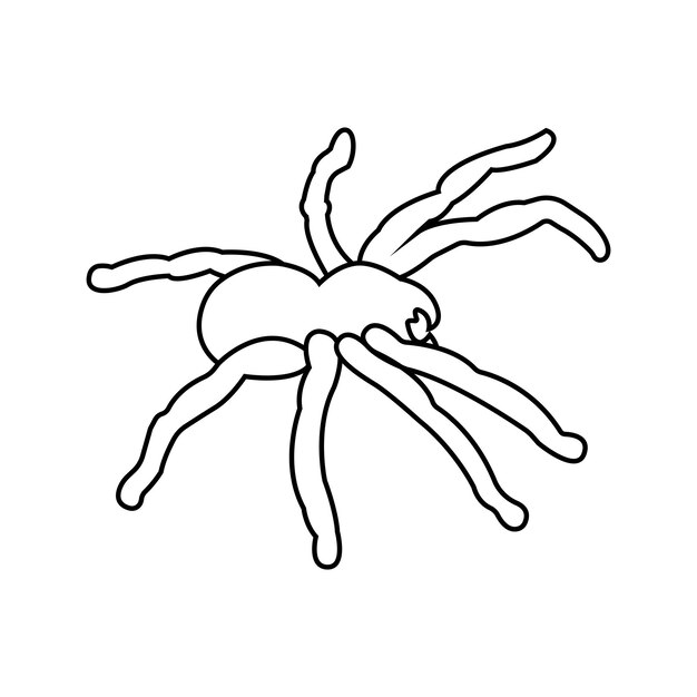 Tarantula icon