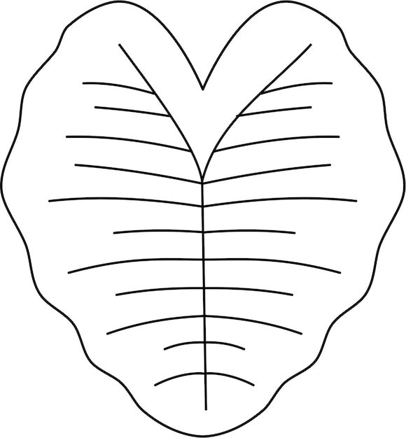 Vector taro leaf vector icon black and white