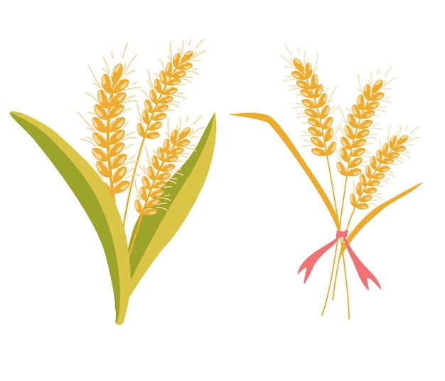 Tarwe bos oren Havermout boeket Tarwe aartjes Tarwe rogge rogge oor symbool van landbouw broodoogst Hele stengels een biologisch vegetarisch element van voedselverpakkingen Platte vectorillustratie