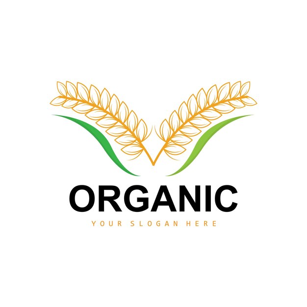 Tarwe Rijst Logo Agrarische Biologische Planten Vector Luxe Design Gouden Bakkerij Ingrediënten