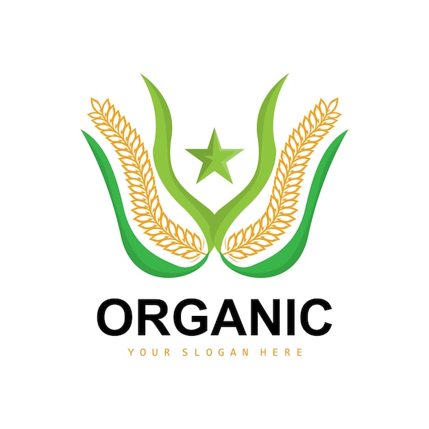 Tarwe Rijst Logo Agrarische Biologische Planten Vector Luxe Design Gouden Bakkerij Ingrediënten