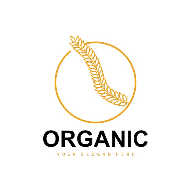 Tarwe Rijst Logo Agrarische Biologische Planten Vector Luxe Design Gouden Bakkerij Ingrediënten