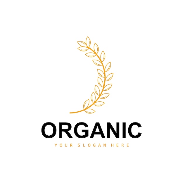 Tarwe Rijst Logo Agrarische Biologische Planten Vector Luxe Design Gouden Bakkerij Ingrediënten