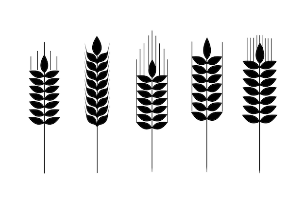 Tarwepictogram Verzameling van tarweaartjes Agrarische symboolproductie van meel