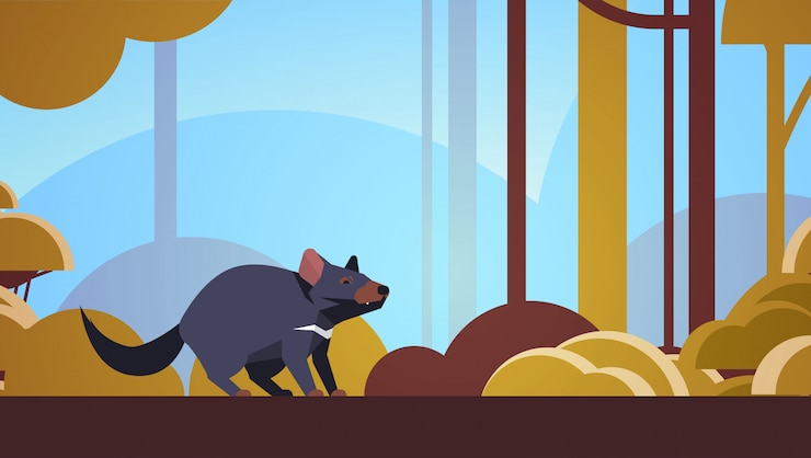 Vector tasmanian devil walking in forest australian wild animal wildlife fauna concept landscape  horizontal