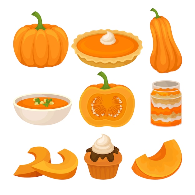 Vector tasty pumpkin dishes set, fresh ripe pumpkin and traditional thanksgiving food  illustration on a white background