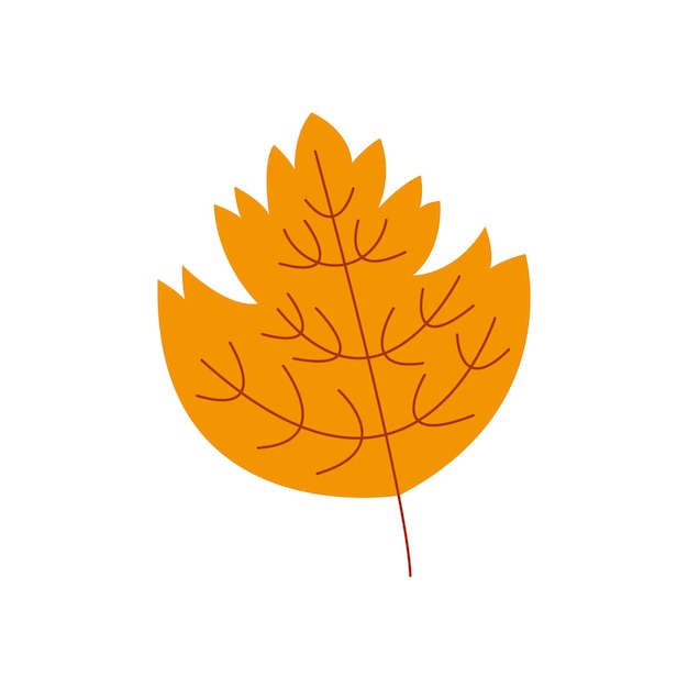 Tatar Maple Leave Vector Illustration