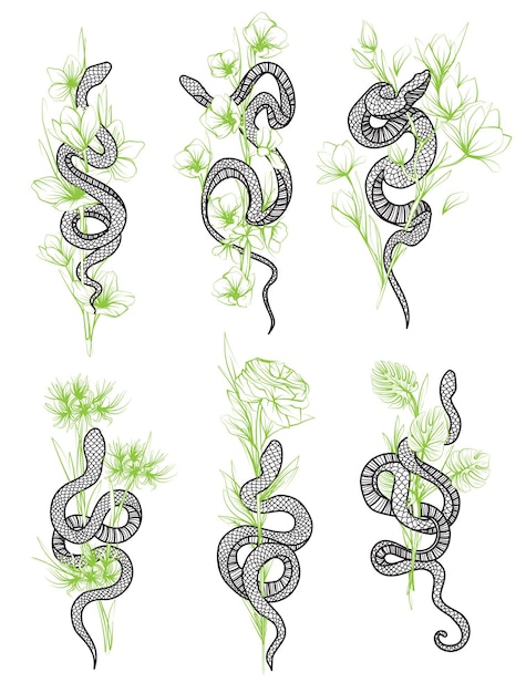Tattoo art snake and flower drawing and sketch