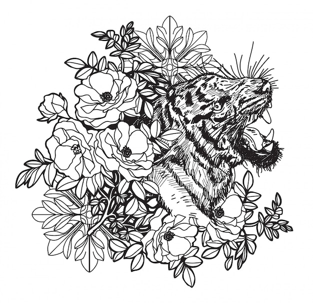 Tattoo art tiger hand drawing and sketch black and white with line art illustration isolated