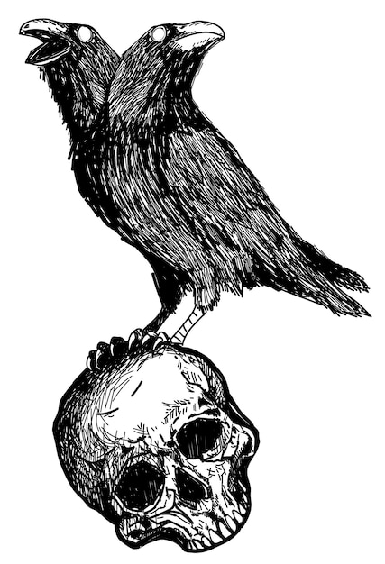 Vector tattoo art twoheaded crow on skullhand drawing and sketch