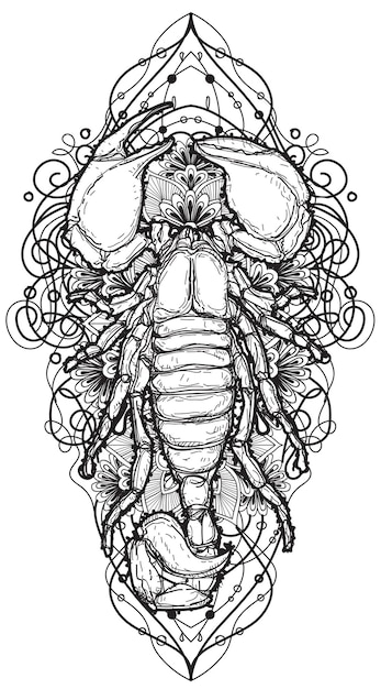 タトゥーarthandサソリの描画とスケッチ