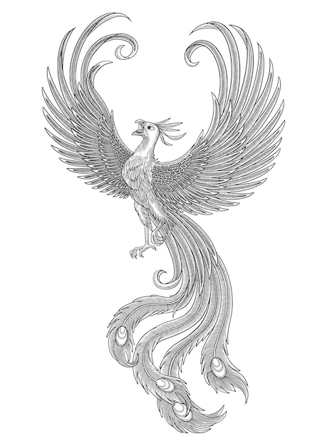 A tattoo of a phoenix with engraving drawing illustration style