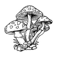 Tattoo and t-shirt design black and white hand drawn illustration mushroom
