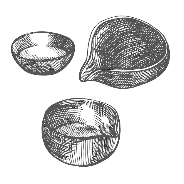 Tea ceremony bowl graphic illustration vector hand drawn illustration chinese traditional