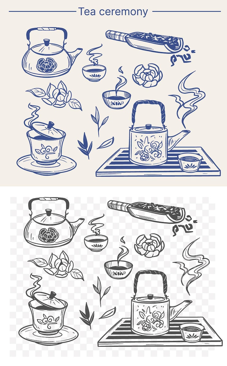 Vector tea ceremony chinese tea teapot gaiwan bowls tableware set of illustrations hand drawn vector sketch