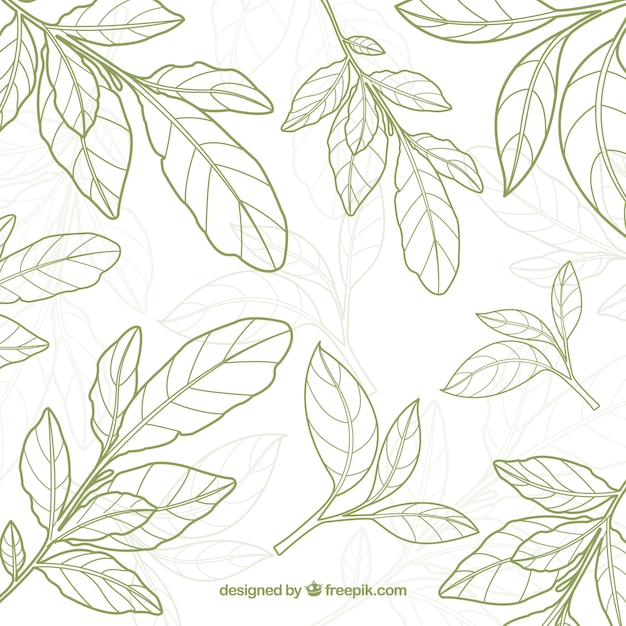 Tea leaves background in hand drawn style