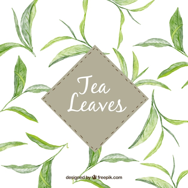 Vettore foglie di tè sullo sfondo in stile acquerello