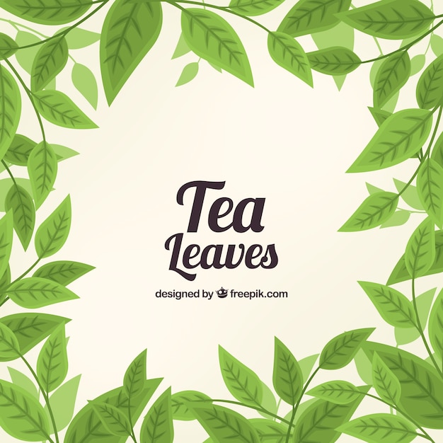 Vettore foglie di tè sfondo con design piatto