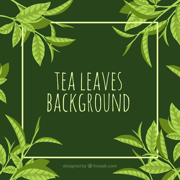 Tea leaves background with flat design