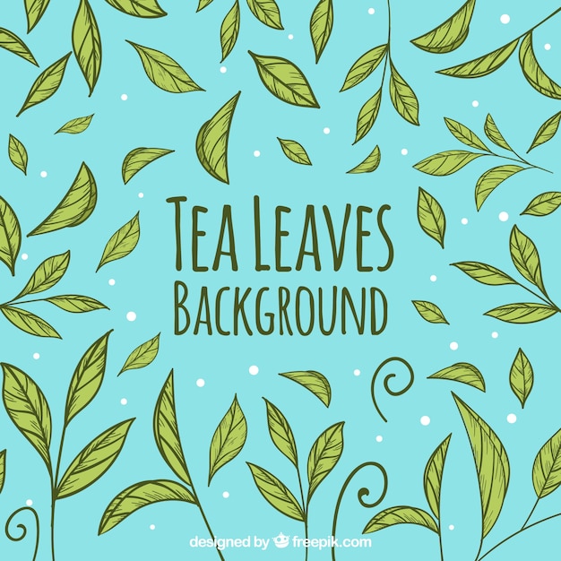 Vector tea leaves background with hand drawn style