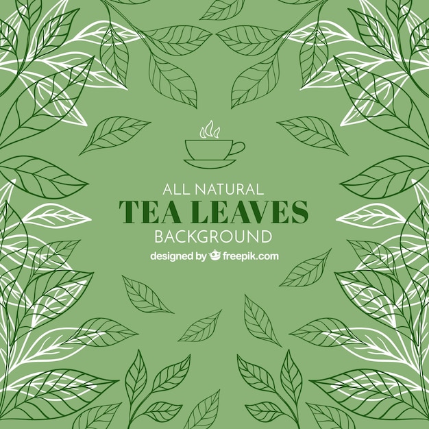 Tea leaves background with vegetation