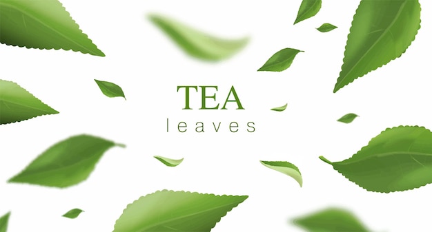 Tea leaves banner