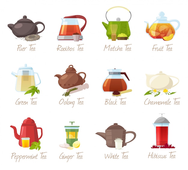 Vector tea  puer-tea and rooibos or matcha fruity drinks in teapot illustration drinking set of green or black tea in cafe  on white background