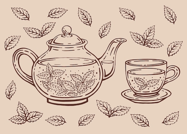 Vettore set di tè con foglie di menta verde salutare teapot e tazza illustrazione vettoriale disegnata a mano in contorno