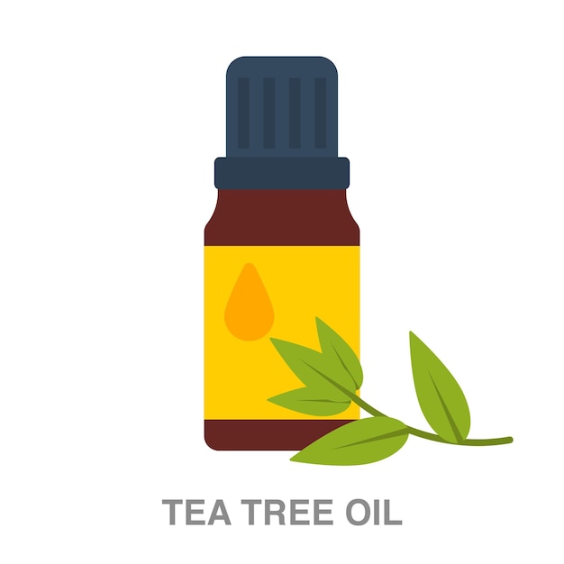 Иллюстрация масла чайного дерева на прозрачном фоне