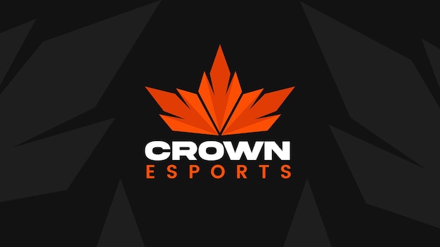 Team e-sport logo