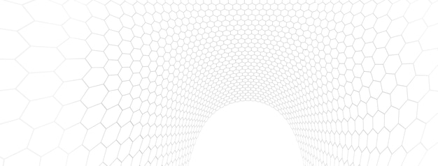 기술 터 추상 배경: 육각형 mesh 3D 추상화 나노기술과 과학 전자 및 디지털 스타일 와이어 네트 차원 관점
