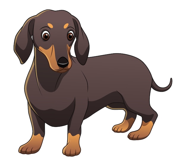 Teckel hond cartoon dierlijke illustratie