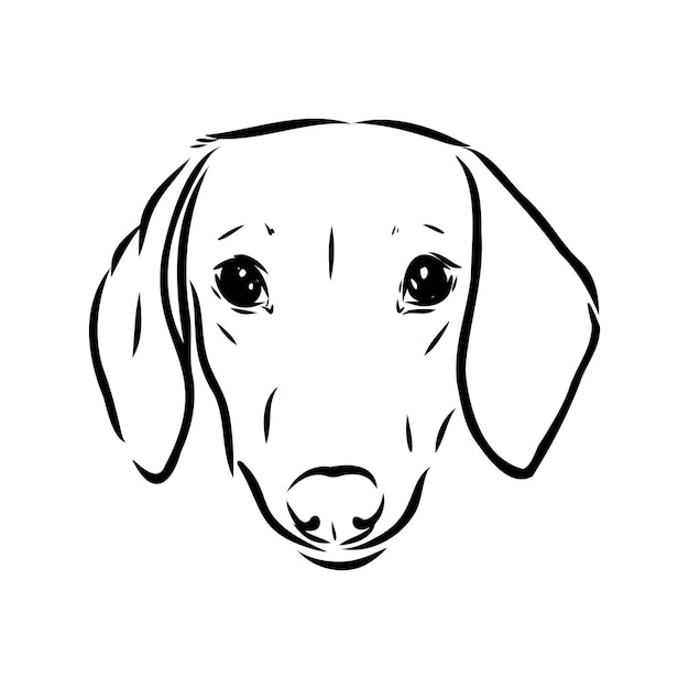 Teckel hond hand getekende vector illustratie teckel hond vector