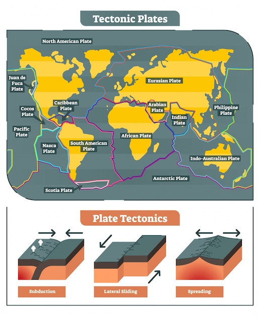 Vector tectonic plates