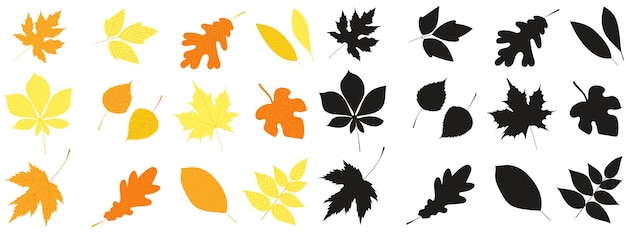 Tedere herfstbladeren in vlakke stijl geïsoleerde vector