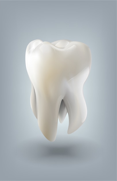 TEETH 3D VECTOR ILLUSTRATION