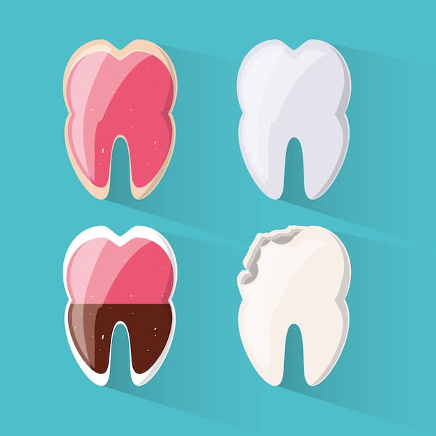 Teeth of dental care health hygiene and medical 