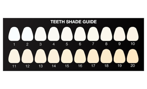 Teeth whitening shade guide, dental colour chart. flat illustration vector